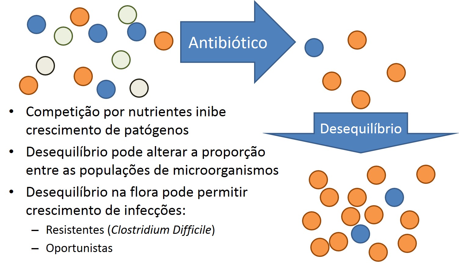 Efeitos Gastrointestinais dos antimicrobianos