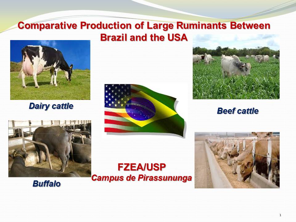 Comparative production of large ruminants Brazil USA_course FZEA_USP