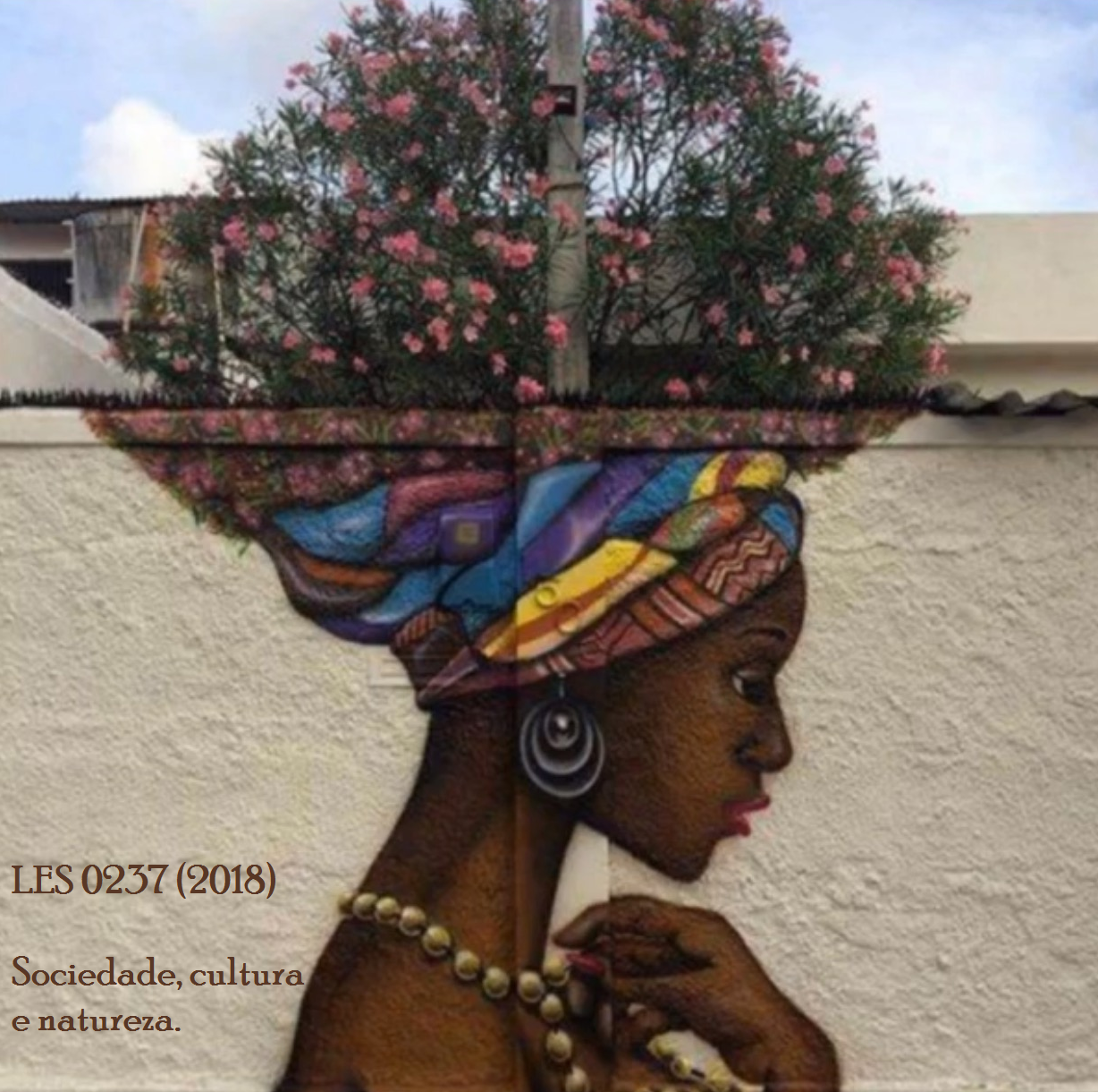 Grafite de uma mulher negra em um muro que termina com uma árvore florida, como se fosse o próprio cabelo dela. No canto inferior há escrito o código e nome da disciplina. 