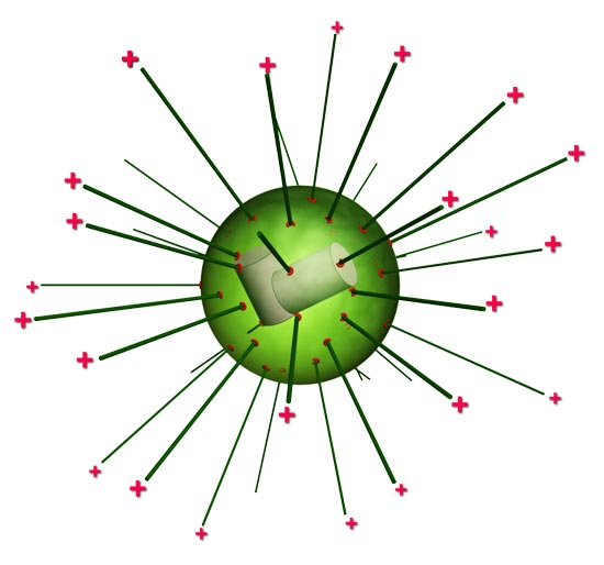 Disposição dos microtúbulos na célula