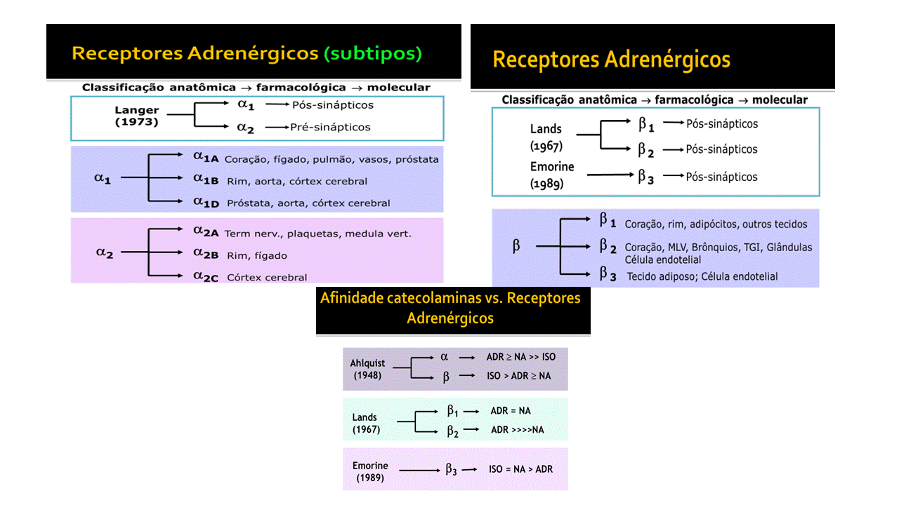 Receptores e subtipos