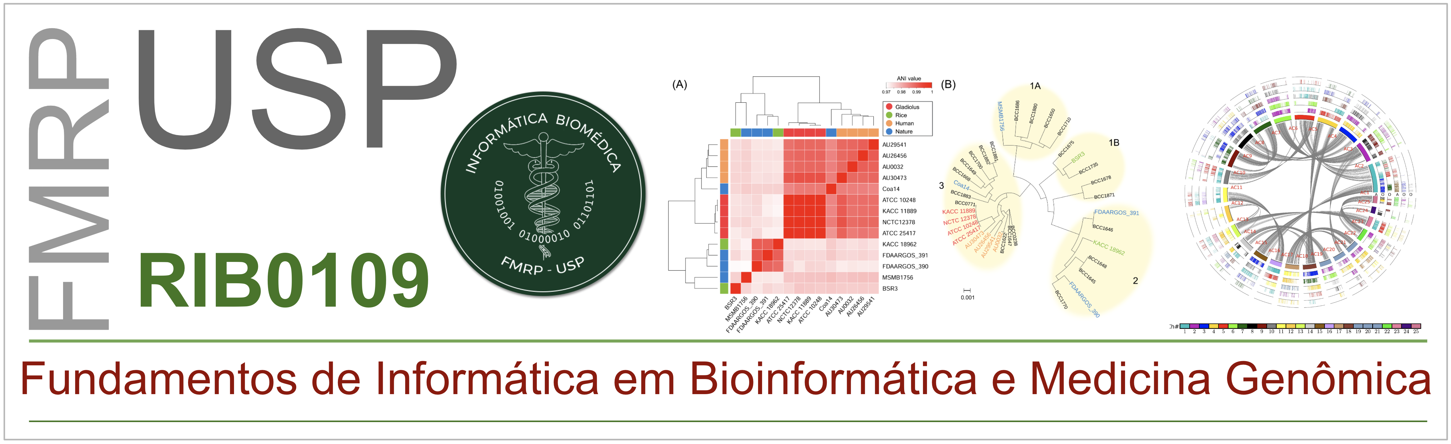 CURSOS DE PROGRAMAÇÃO EM R: aplicados em bioinformática