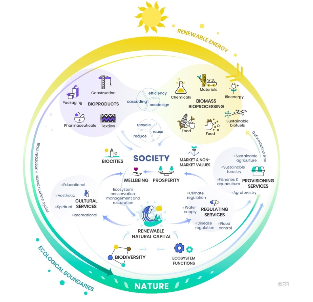 Fluxo dos fatores numa economia circular